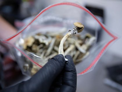 Inside The First Licensed Psilocybin Testing Facility In Oregon