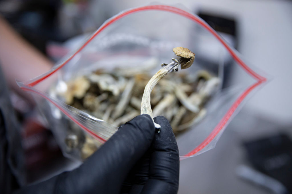 Inside The First Licensed Psilocybin Testing Facility In Oregon
