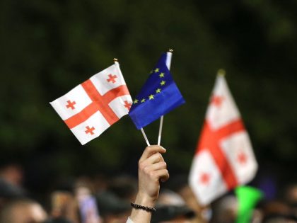 Foreign ministers of Latvia, Estonia, Iceland and Lithuania join protest against 'transparency of foreign influence' bill in Tbilisi