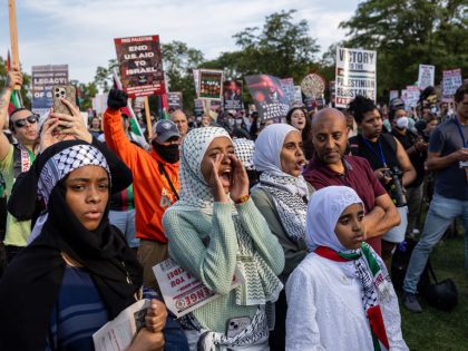Protesters Demonstrate During The 2024 Democratic National Convention In Chicago