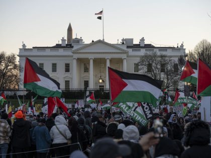 Pro-Palestinian demonstration in Washington DC