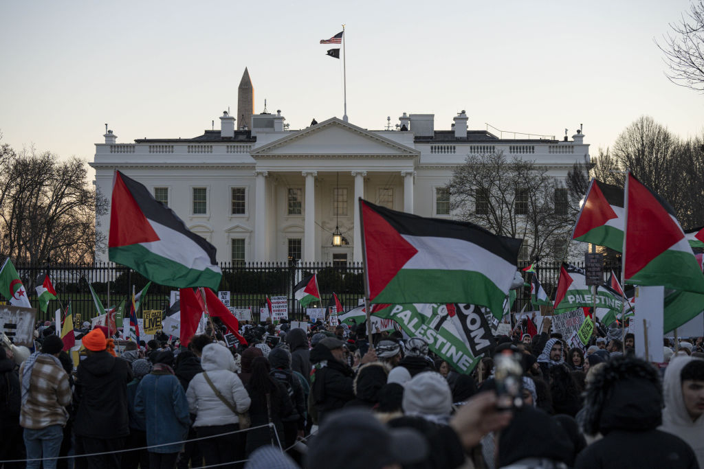 Pro-Palestinian demonstration in Washington DC