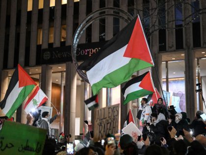 Pro-Palestine demonstration in New York