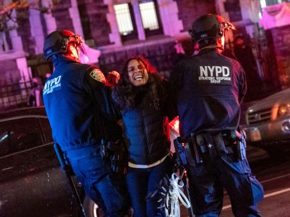 Police Confront Pro-Palestinian Protesters At CCNY