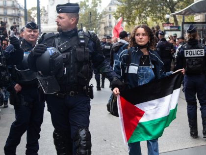 Police intervene pro-Palestinian demonstration in Paris