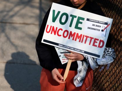 Michigan Holds Its Primary Election