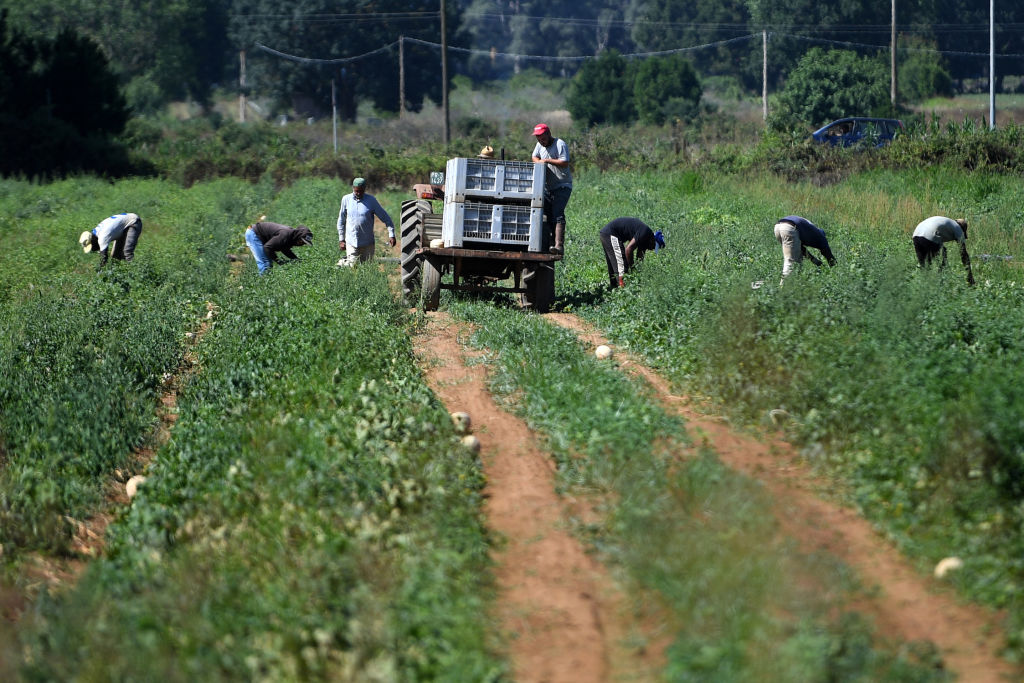 ITALY-LABOUR-AGRICULTURE-MIGRANTS