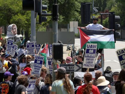 UC Santa Cruz Workers Strike Over Treatment Of Pro-Palestinian Protesters