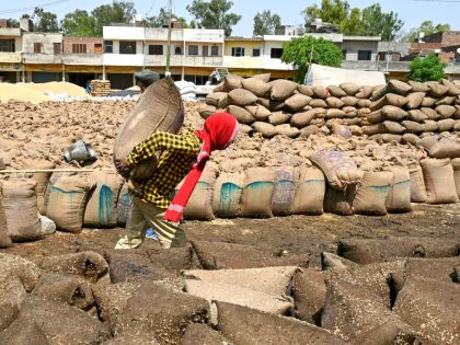 INDIA-ECONOMY-AGRICULTURE