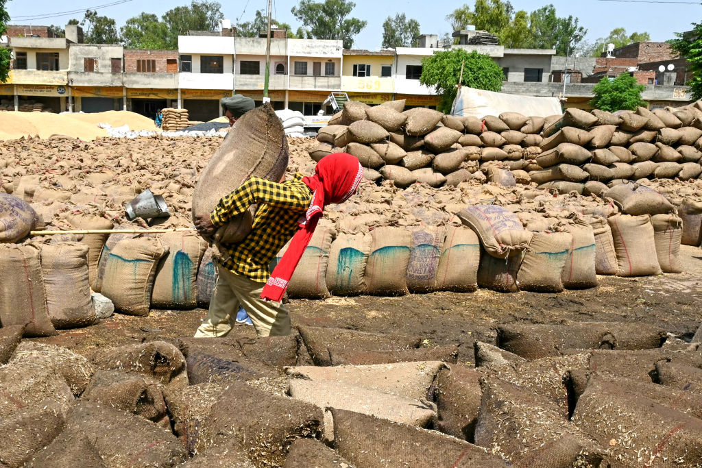INDIA-ECONOMY-AGRICULTURE