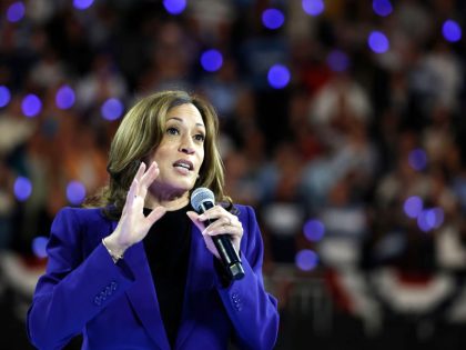 Democratic Presidential Candidate Vice President Kamala Harris Holds Campaign Rally In Milwaukee