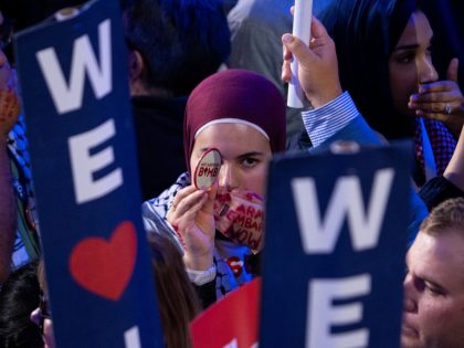 2024 Democratic National Convention