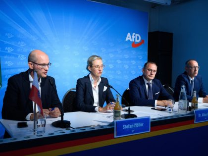 After the state elections in Saxony and Thuringia - AfD