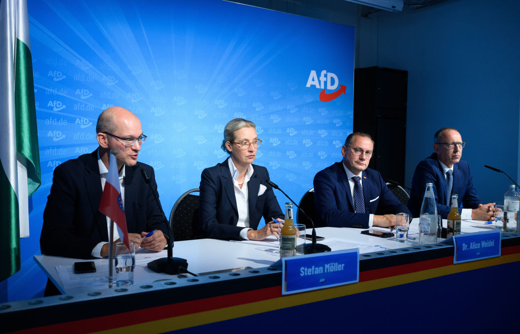 After the state elections in Saxony and Thuringia - AfD