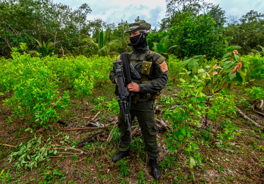 COLOMBIA-DRUGS-COCA-ERADICATION