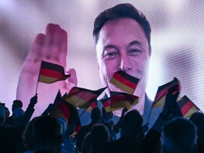 AfD election campaign - Halle (Saale)