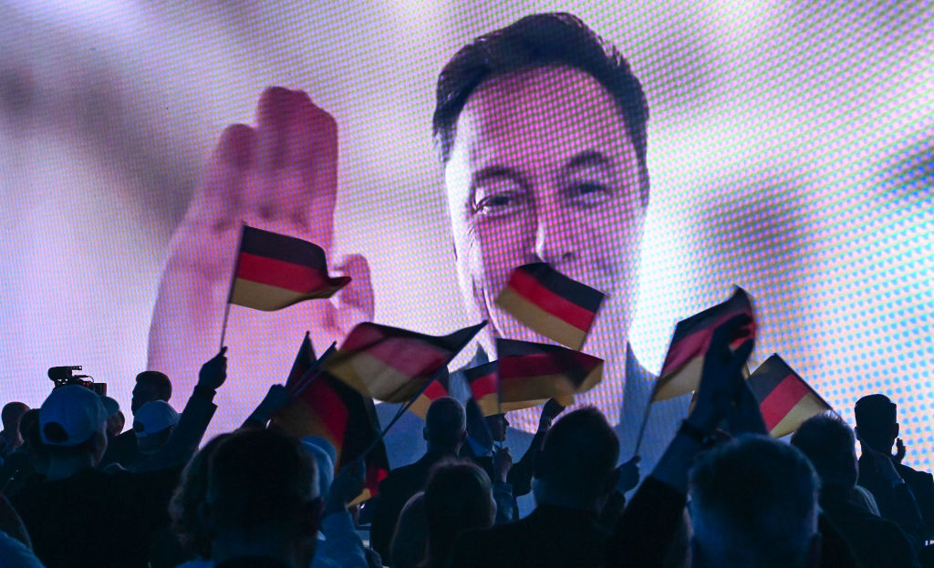 AfD election campaign - Halle (Saale)