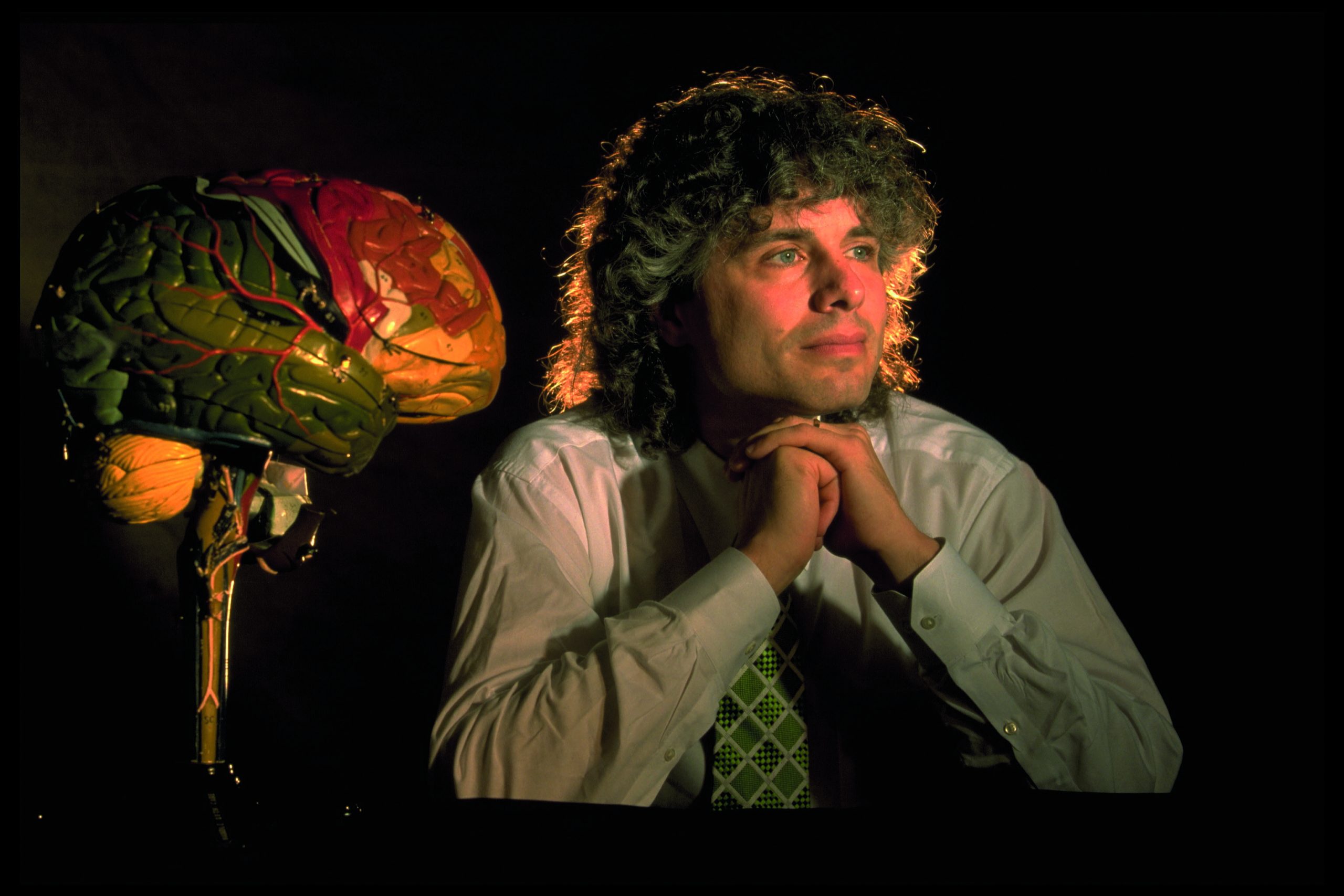 WRITER STEVEN PINKER