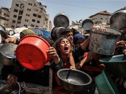 Food distributed to Palestinians struggling with hunger in Gaza