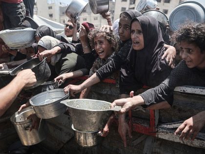 Food distributed to Palestinians battling hunger in Gaza