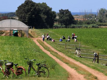 ITALY-LABOUR-AGRICULTURE-MIGRANTS