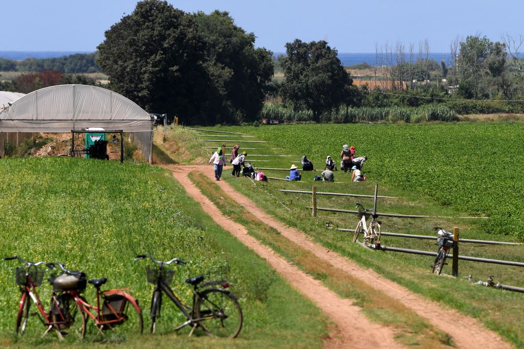 ITALY-LABOUR-AGRICULTURE-MIGRANTS