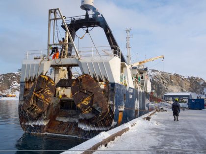 Trawler Lomur run by  Royal Greenland.  Winter in the frozen harbour of town Ilulissat on the shore of Disko Bay. America, North America, Greenland, Denmark