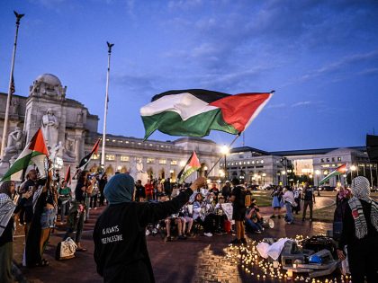 Protest in Washington against Gaza attacks