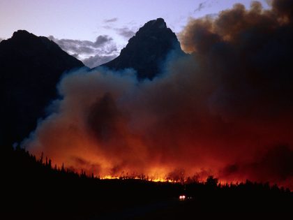 Forest Fire in National Park