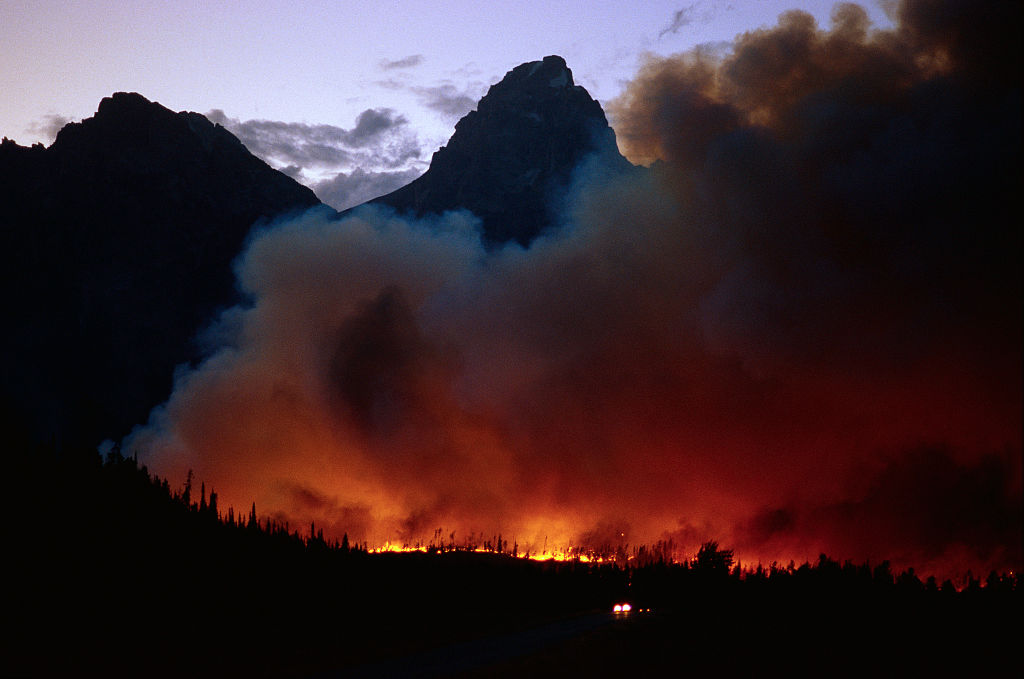 Forest Fire in National Park