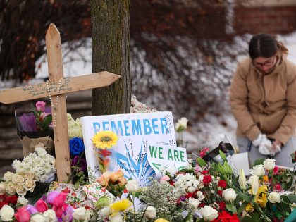 TOPSHOT-US-IMMIGRATION-ICE-SHOOTING