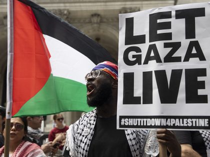 'Stop starving Gaza' march in New York City