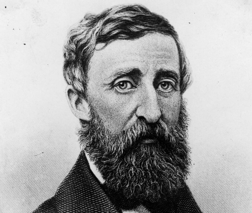 3264616-henry-david-thoreau