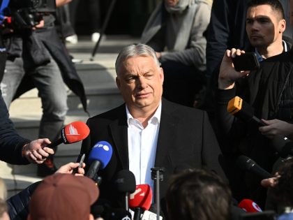 PM Viktor Orban Casts His Ballot In The Hungarian General Election