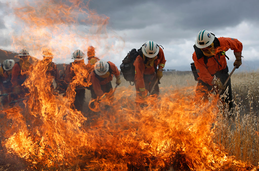 California Department of Corrections and Rehabilitation (CDCR) inmate firefighters use hand tools to battle a grass fire during a live fire wildland training exercise at Castaic Lake on May 27, 2026, in Castaic, California.
