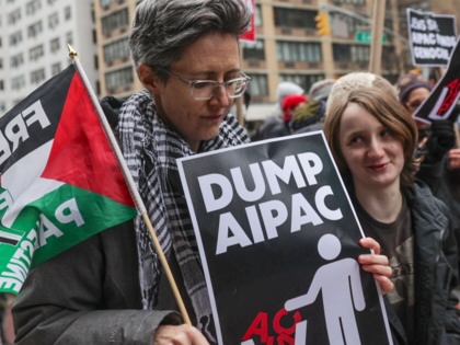 Pro-Palestinian protesters in New York City