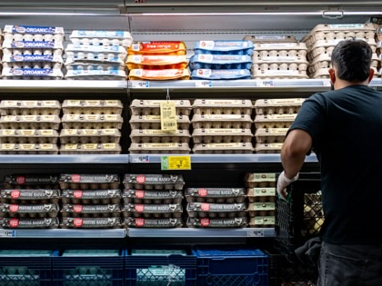 employee stocks eggs in supermarket