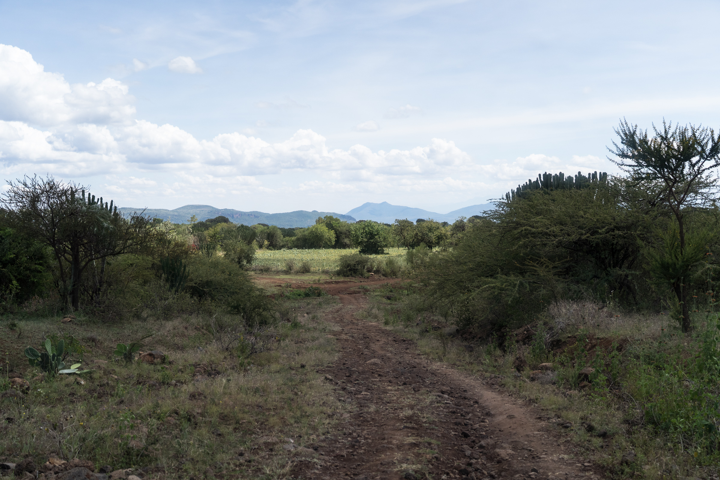 The Meru landscape in Kenya's eastern highlands