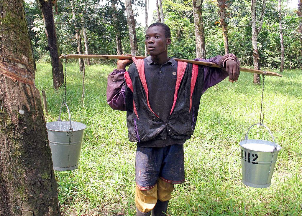 Junior Tokpah carries buckets of sap from rubber trees, better known as latex, on the Firestone plantation in Harbel, Liberia.