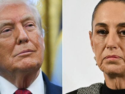 A diptych featuring portraits of Donald Trump and Claudia Shienbaum