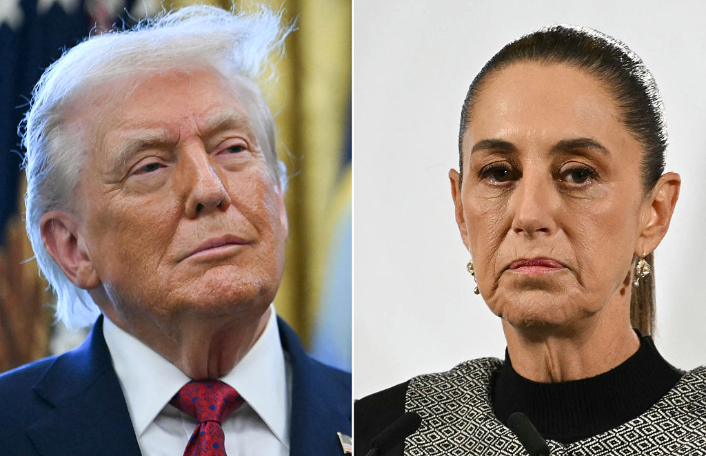 A diptych featuring portraits of Donald Trump and Claudia Shienbaum