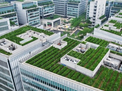 An aerial photo shows West Lake Longjing tea planted on the roof of Hangzhou city, Zhejiang province, China.