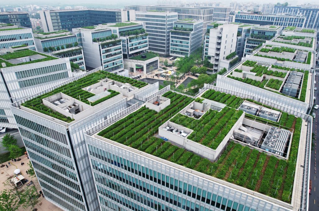 An aerial photo shows West Lake Longjing tea planted on the roof of Hangzhou city, Zhejiang province, China.